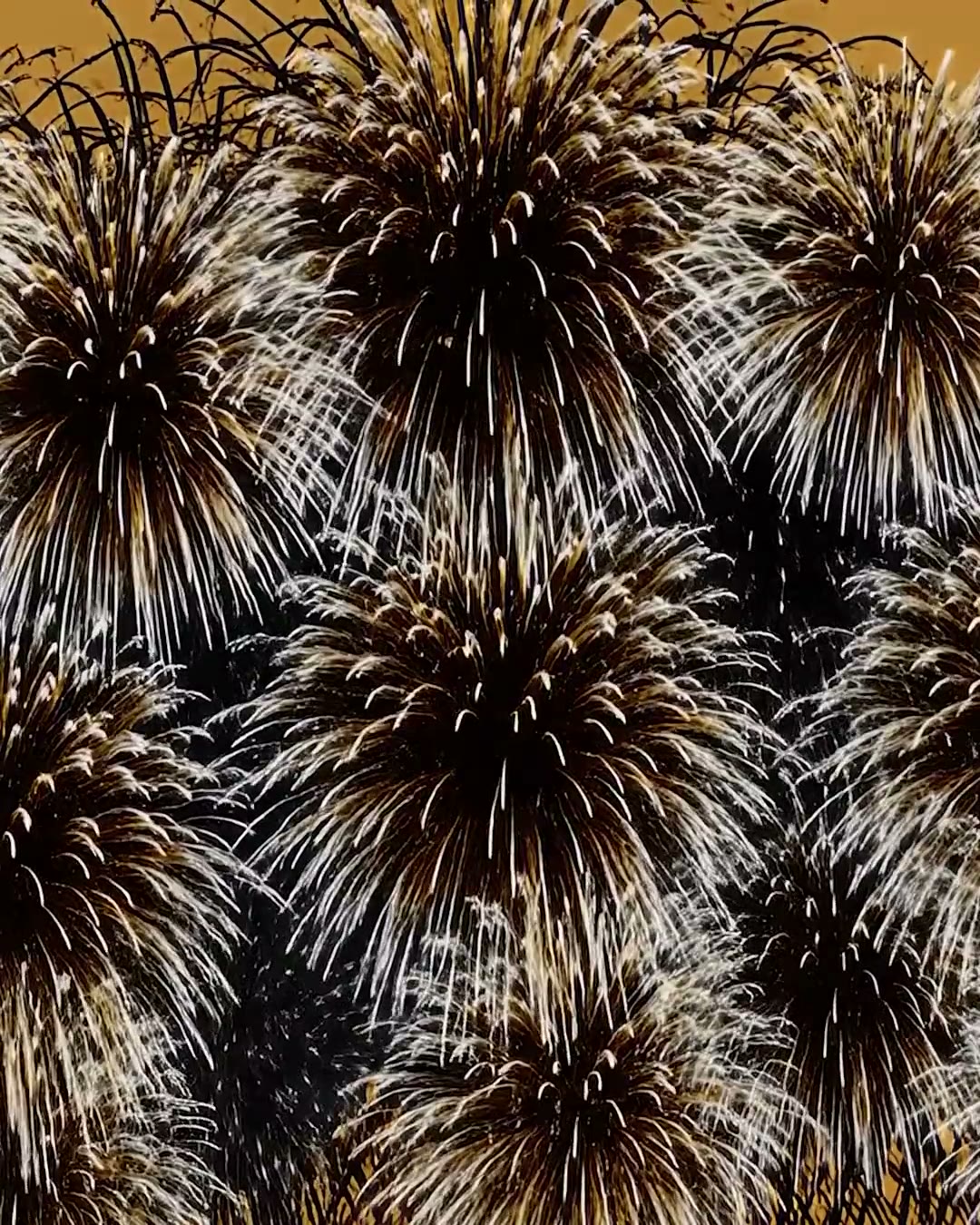 Black and gold fireworks fill the frame